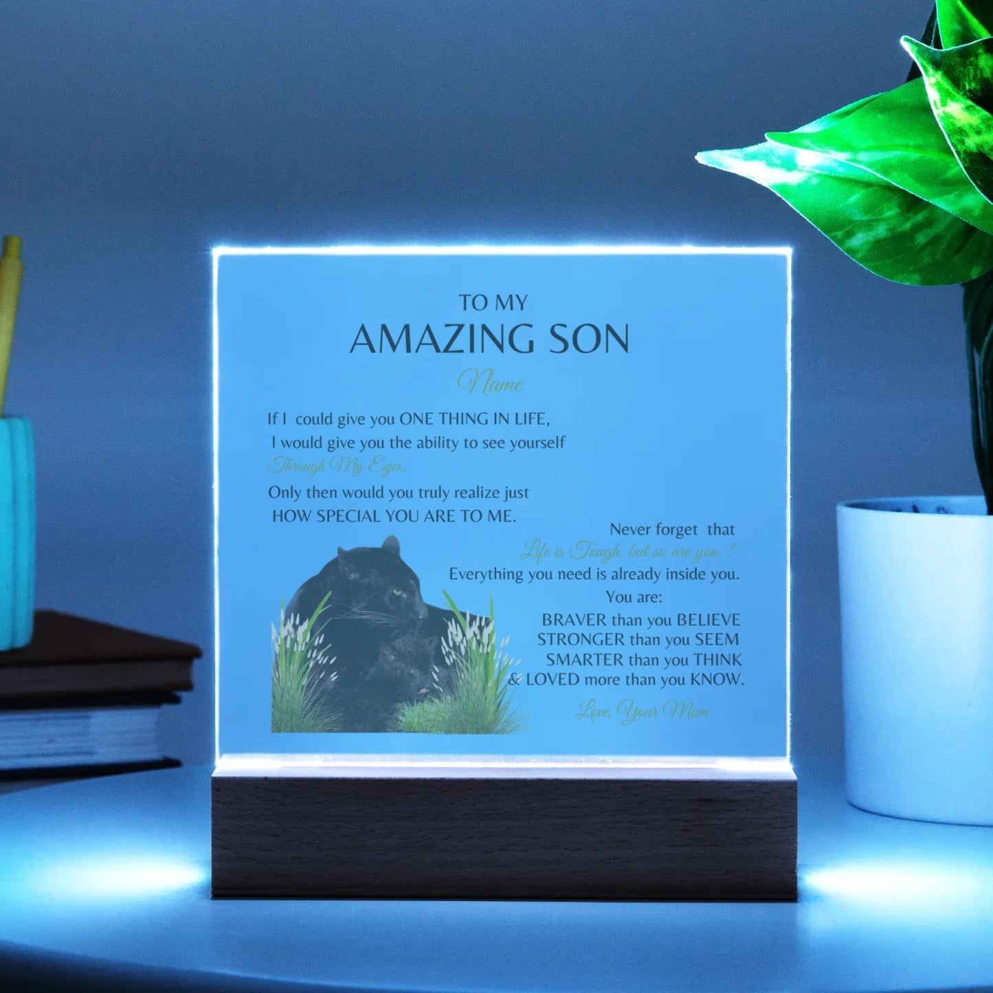 "To My Amazing Son, Love, Your Mom."  Panther Mom and Her Cub-Acrylic Square Plaque.   He cried when he read this!